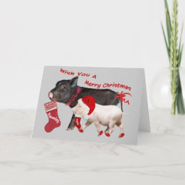 Cartão De Festividades Pote Belly Pig Feliz Natal