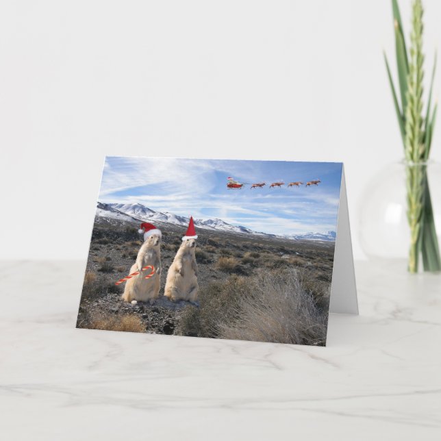 Cartão De Festividades Prairie Dog Santa Card (Frente)