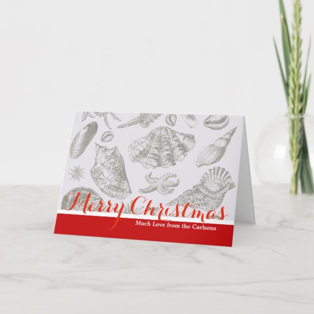 Cartão De Festividades Prateleiras de Arte Suave de Seashell (Frente)