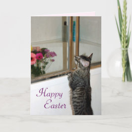 Cartão De Festividades Precious and Beautiful Kitten Easter Card