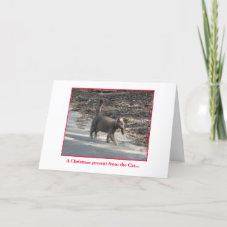 Cartão De Festividades Presente de Natal do Gato...