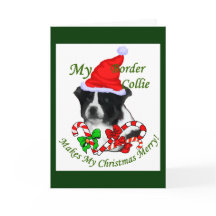 Presentes de Natal da Border Collie