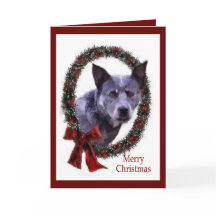 Presentes de Natal de Cães de Gado Australianos