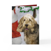 Presentes de Natal de Otterhound