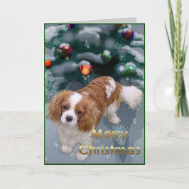 Cartão De Festividades Presentes de Natal do Cavalier King Charles Spanie