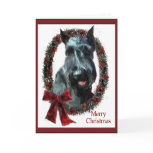 Presentes de Natal Giant Schnauzer