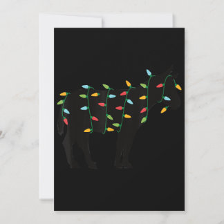 Cartão De Festividades Presentes de Natal Luzes Burro Zoo Amante do Anima
