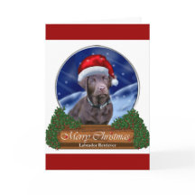 Presentes de Natal para Labrador de Chocolate