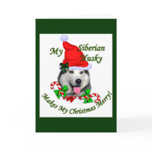 Presentes de Natal Siberianos Husky