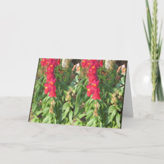 Cartão De Festividades Presentes GIFs de paisagem do céu com flores aquát