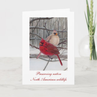 Cartão De Festividades Preserving Wildlife Holiday Card