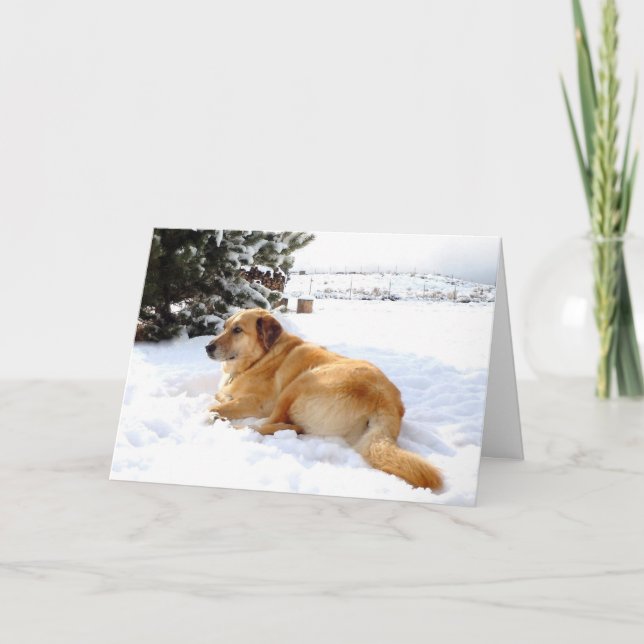 Cartão De Festividades Pretty Snowscape Golden Retriever Dog Scene (Frente)