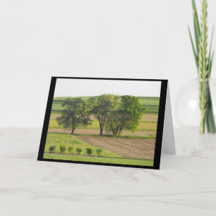 Cartão De Festividades Primavera 16 ~ 10 ~