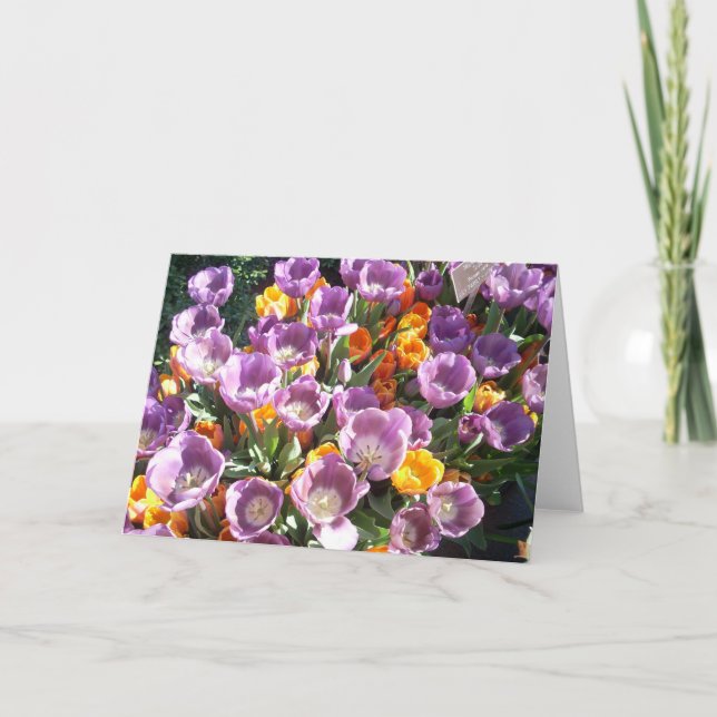 Cartão De Festividades Primavera Blossomo Um (Frente)