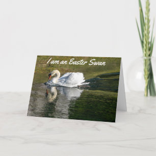 CARTÃO DE FESTIVIDADES ***PRIMAVERA FELIZ DO FELZ PASCOA***