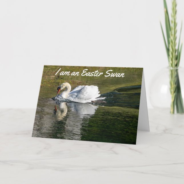 CARTÃO DE FESTIVIDADES ***PRIMAVERA FELIZ DO FELZ PASCOA*** (Frente)