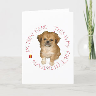 Cartão De Festividades Primeiro Natal do Cachorro Pequinês