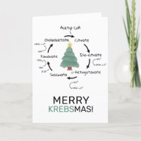 Professor de Natal do Ciclo do Science Biology Kre