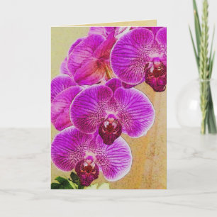 Cartão De Festividades Promessas de Orquídeas podem ser personalizadas