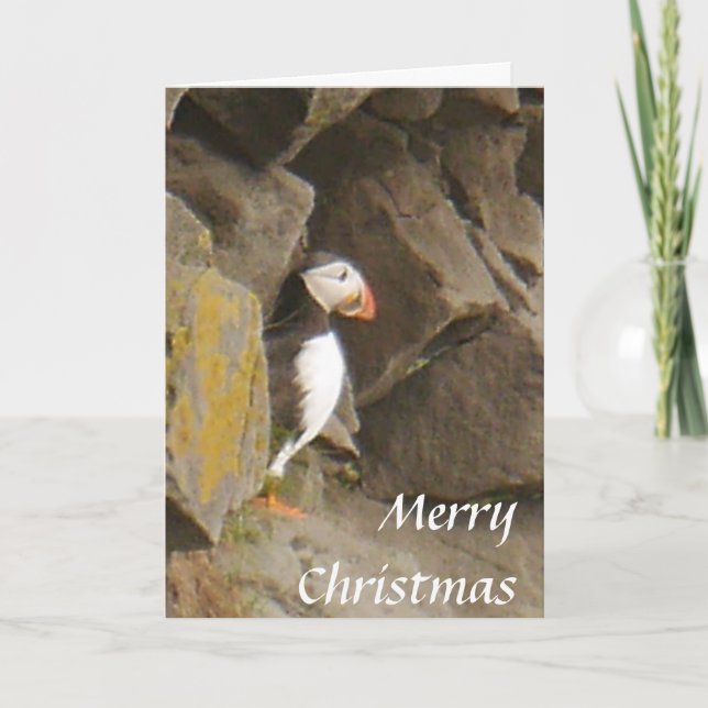 Cartão De Festividades Puffin Christmas Card (Frente)