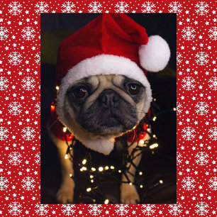 Cartão De Festividades Pug Cão Natal Personalizar Assinatura