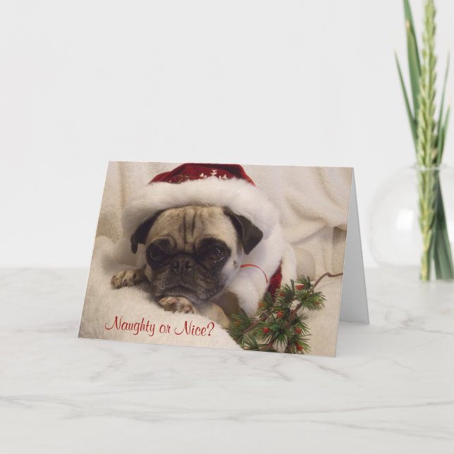 Cartão De Festividades Pug Christmas Card (Frente)