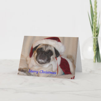Cartão De Festividades Pug Christmas Card