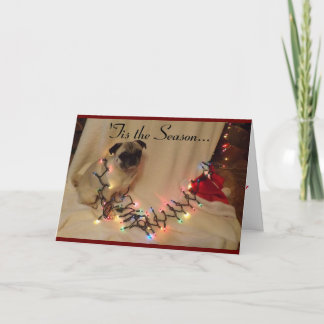Cartão De Festividades Pug Christmas Card