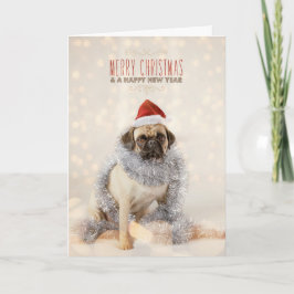 Cartão De Festividades Pug Christmas Card