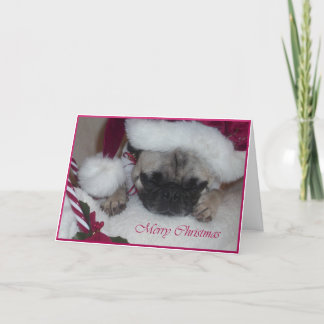 Cartão De Festividades Pug Christmas Card