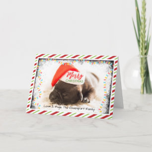 Cartão De Festividades Pug de Natal com Chapéu de Papai Noel e Luzes de N
