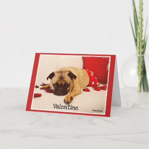 Cartão De Festividades Pug Groove