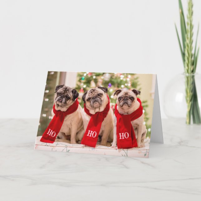 Cartão De Festividades Pug Holiday/Christmas card. Minnie, Max and Matti (Frente)