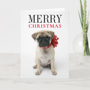 Cartão De Festividades Pug Puppy com Arco de Natal