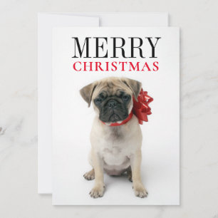 Cartão De Festividades Pug Puppy com Arco de Natal