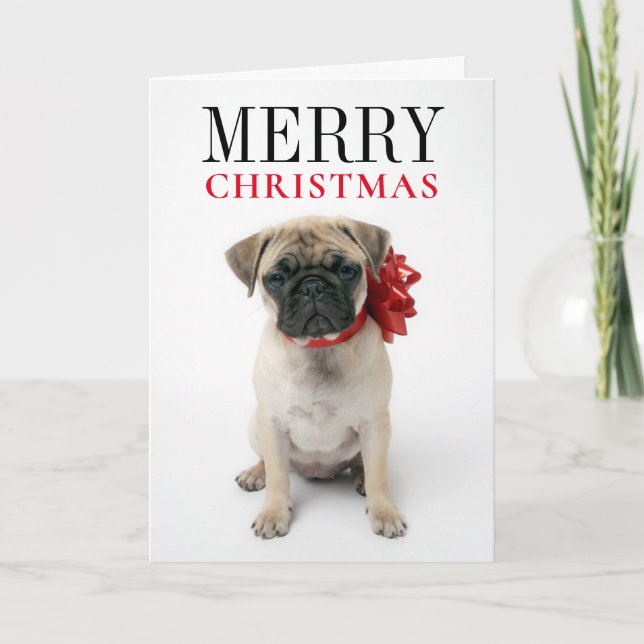 Cartão De Festividades Pug Puppy com Arco de Natal (Frente)