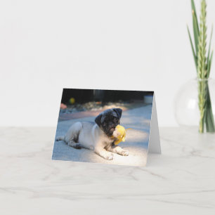 Cartão De Festividades Pug Puppy Note Card