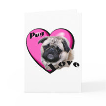 Pug Valentines Day