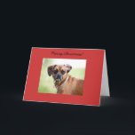 Cartão De Festividades Puggle Merry Christmas Card<br><div class="desc">Puggle Merry Christmas Card</div>