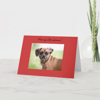 Cartão De Festividades Puggle Merry Christmas Card
