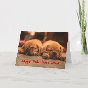 Cartão De Festividades Puggle Valentine's Day