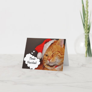 Cartão De Festividades Pulgas Engraçadas de Gato Natal Férias Natal