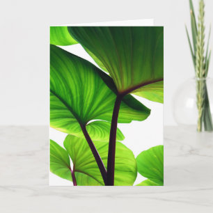 Cartão De Festividades Pumpkin Leaves Floral Photo