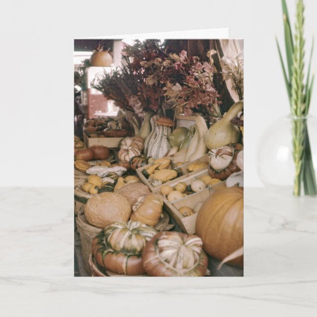 Cartão De Festividades Pumpkins and Gourds Thanksgiving Greeting Card (Frente)