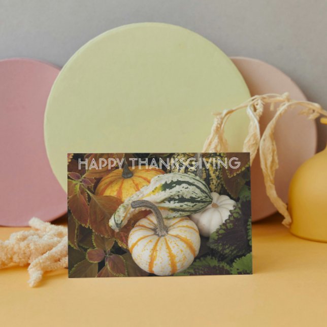 Cartão De Festividades Pumpkins and Squash Still Life Photo Thanksgiving (In Situ)