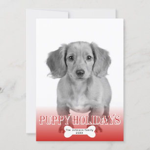 Cartão De Festividades Puppins de férias padrão ósseo foto de Natal de