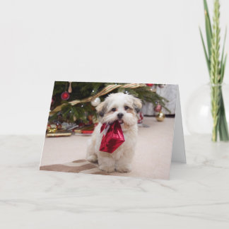 Cartão De Festividades Puppy Christmas Card
