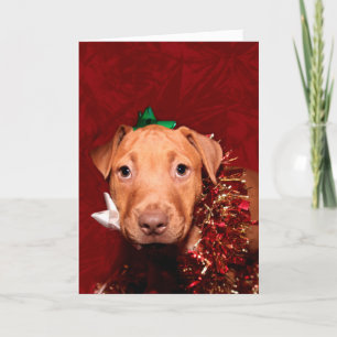 Cartão De Festividades Puppy Christmas help