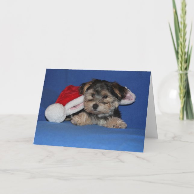 Cartão De Festividades Puppy hopes Santa's magic comes to your home (Frente)