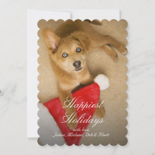 Cartão De Festividades Puppy with Santa Claus hat